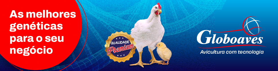 Banner publicitário 