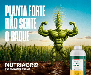 Banner publicitário 