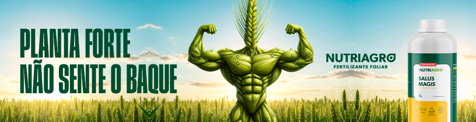 Banner publicitário 