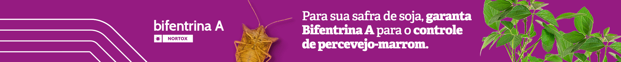 Banner publicitário 