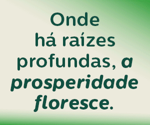 Banner publicitário 