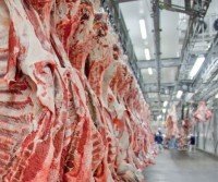Carne bovina: Brasil exporta menos, fatura mais e tem queda na oferta de boi no mercado interno