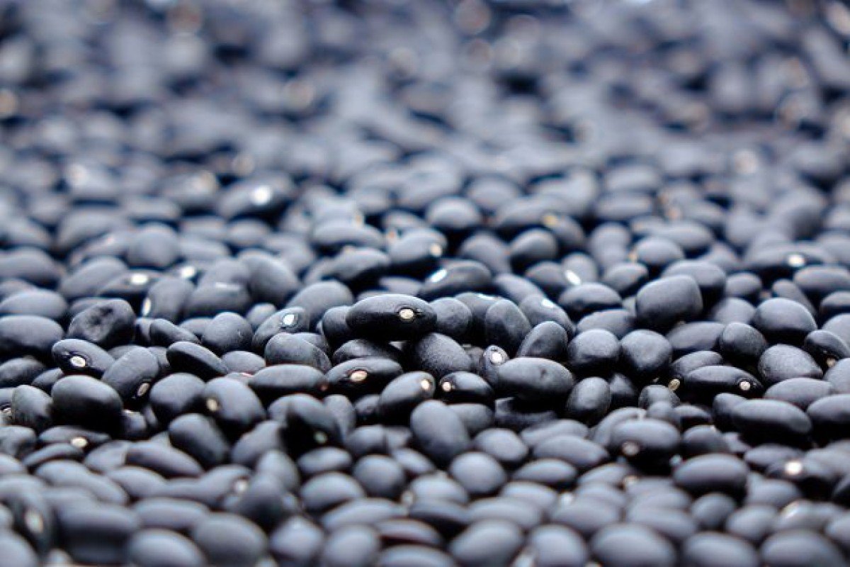 Análise: Boas práticas no feijão garantem qualidade no campo e no mercado 