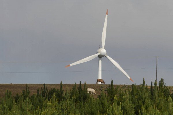 Estudo da OCDE mostra Paraná como exemplo mundial em desenvolvimento sustentável  