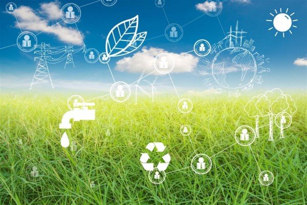 Geração de bioeletricidade cresce no Brasil pode ampliar participação do segmento no setor elétrico