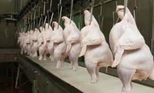 Carne de frango ganha competitividade frente à carne bovina 