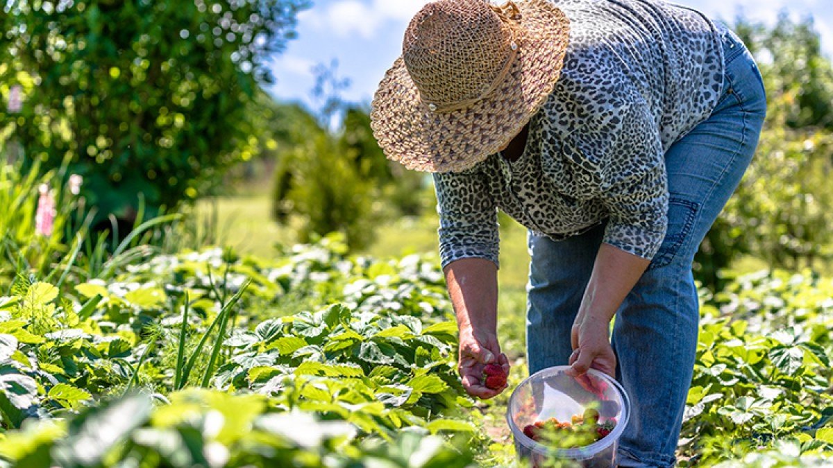 Cursos de capacitação em cooperativismo e associativismo para agricultores familiares estão com inscrições abertas 
