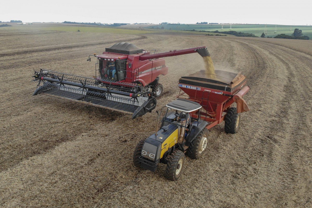 Estiagem, pragas e geada reduzem expectativa de safra de grãos no Paraná