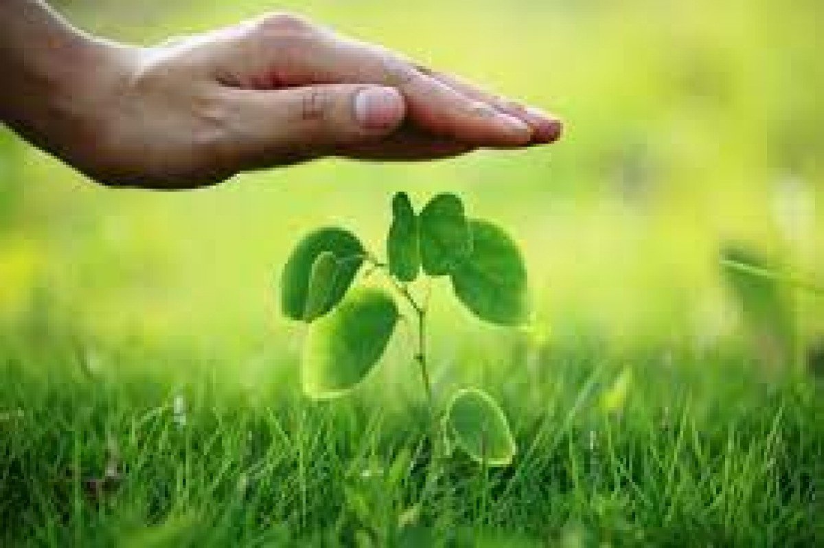 Mapa participa de evento sobre capacitação de peritos em seguros rurais 