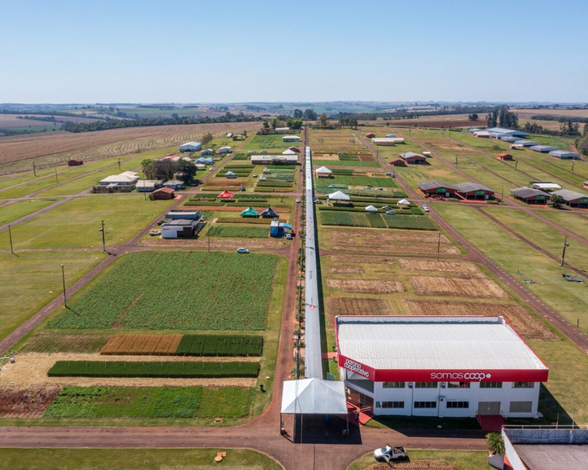 Show Rural de Inverno mostra trigo com produtividade de 6 mil quilos/ha