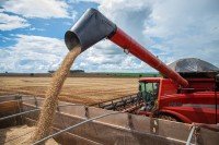 Campo Futuro levanta custos de produção em nove estados