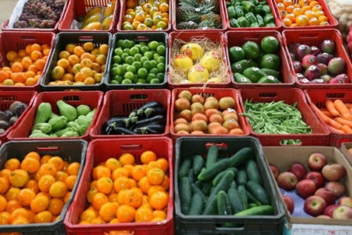 Comissão Técnica de Hortifruticultura debate gargalos do setor