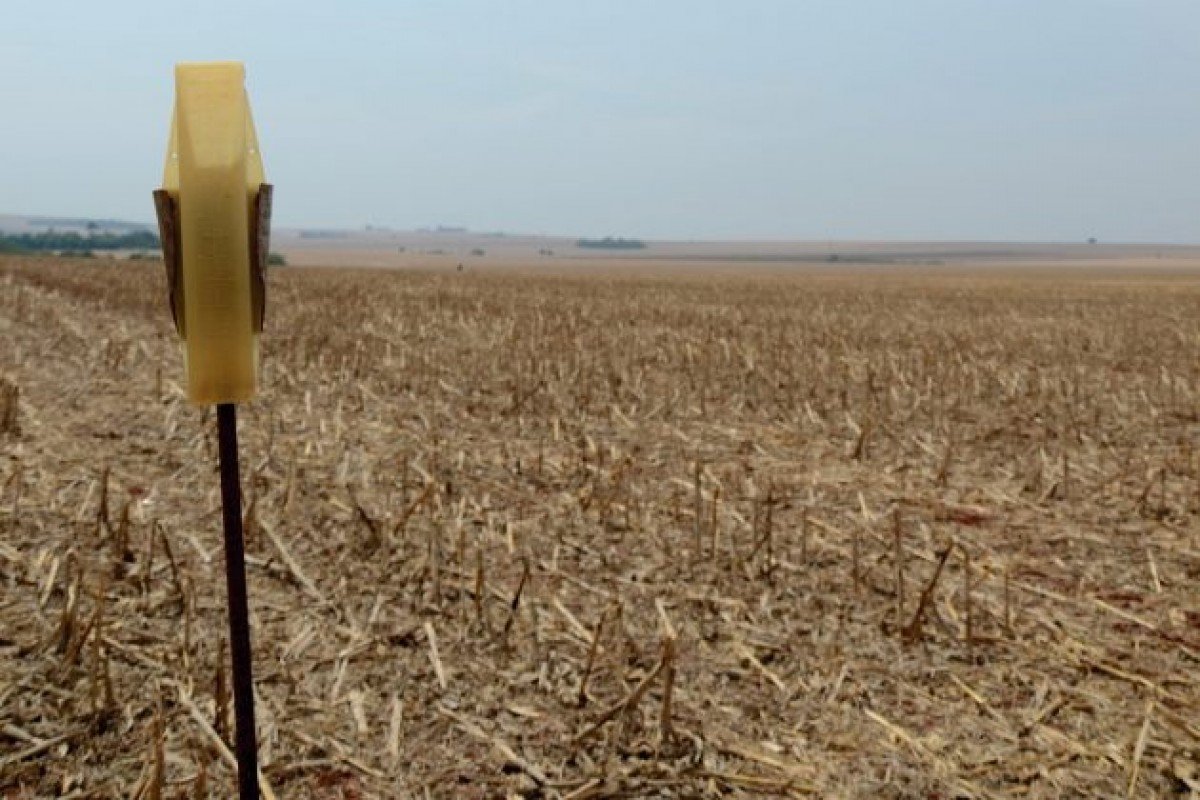 Seca e geada acendem alerta de incêndios no Paraná