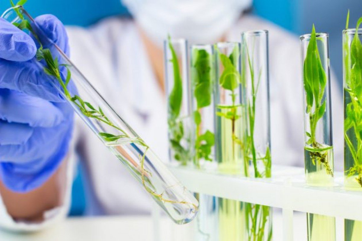 Agricultura caminha para nova era dos bioinsumos