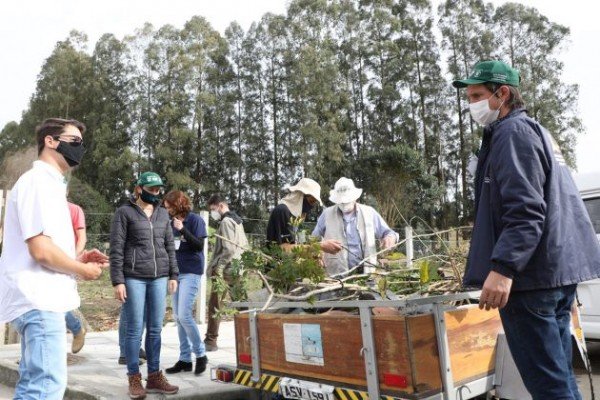 Treinamento ajuda a recuperar APPs em hortas urbanas de Curitiba