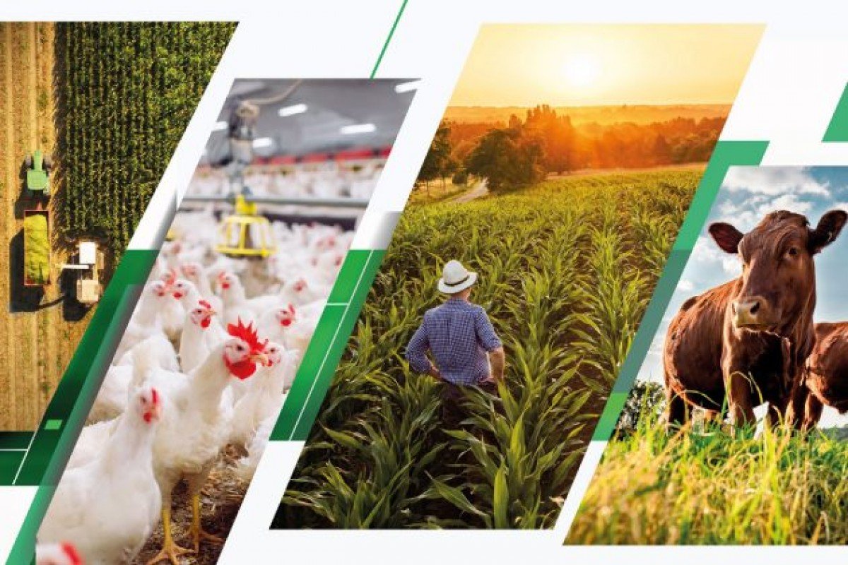 Prazo para entrega da declaração do ITR 2021 termina dia 30 de setembro