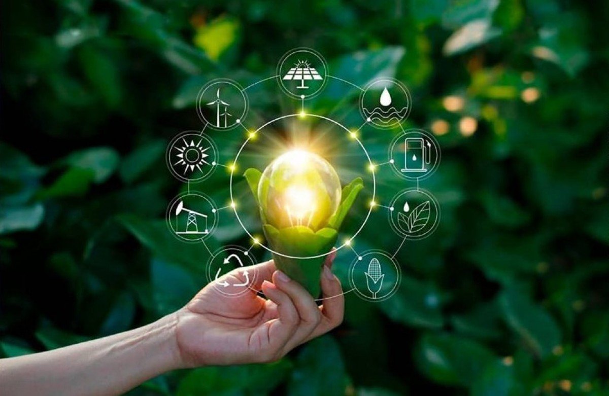 Como a bioinovação se insere no modelo de Economia Circular