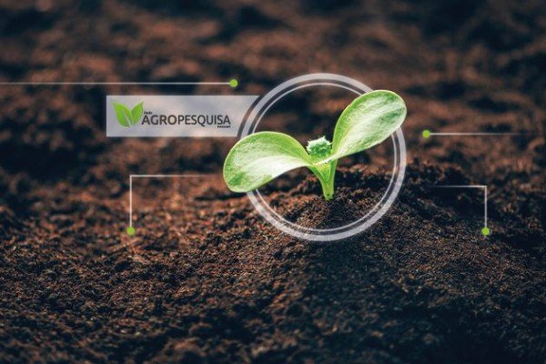 Escassez hídrica afeta estudo sobre solos no Norte do Paraná