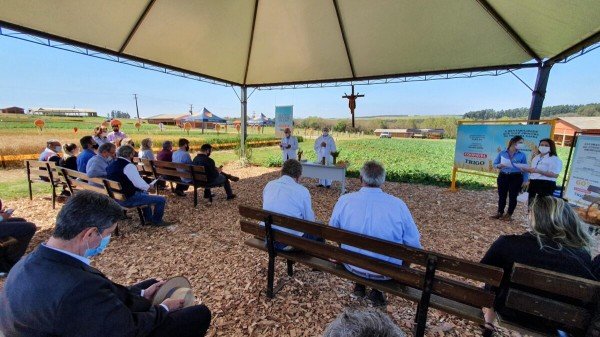 Paraná começa uma nova e promissora história com a triticultura