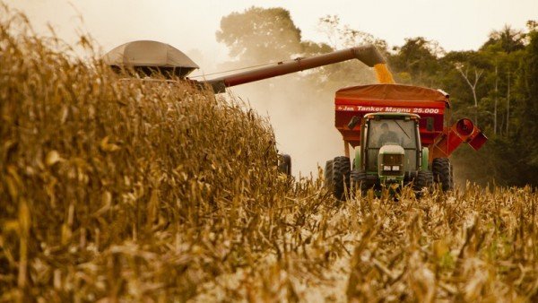 Milho/Cepea retração compradora pressiona indicador