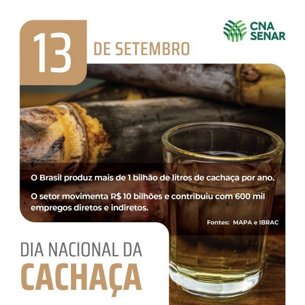 Dia da Cachaça – Patrimônio nacional, bebida gera renda e emprego