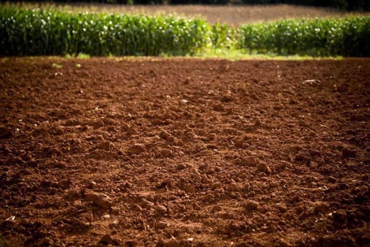 Pesquisa busca soluções para conter erosão no Noroeste