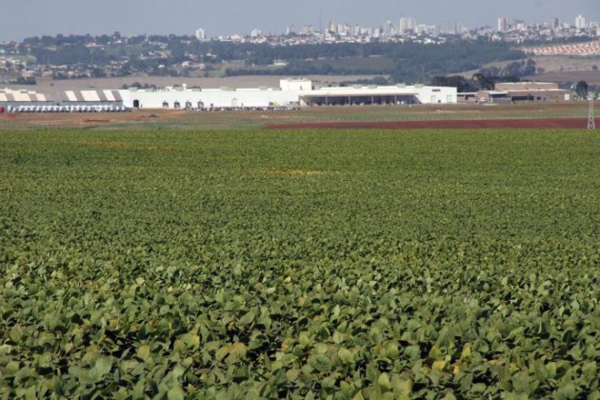 Conheça os segredos dos cinco novos municípios que superaram R$ 1 bilhão em VBP