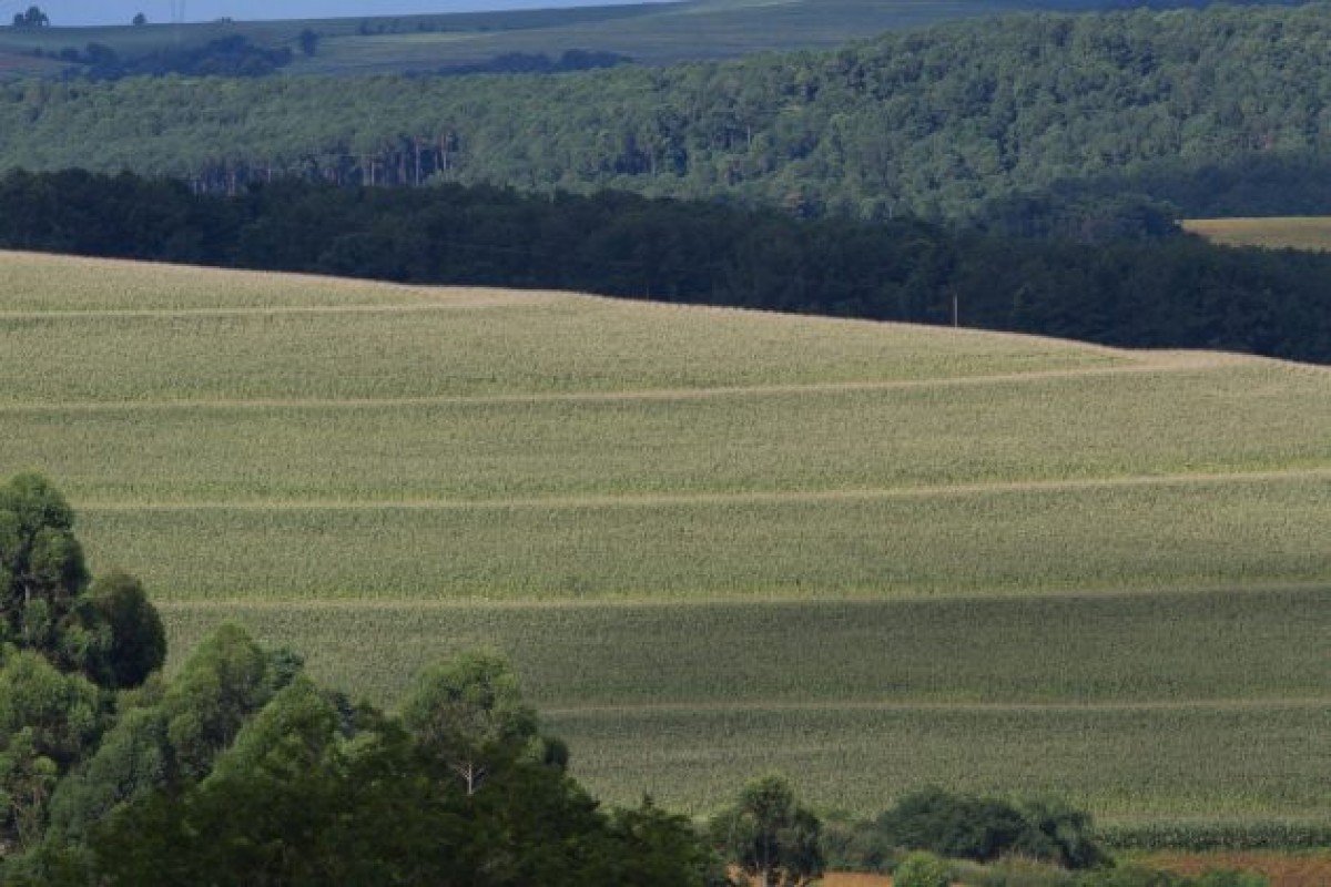 Fim dos terraços contribui para processo erosivo