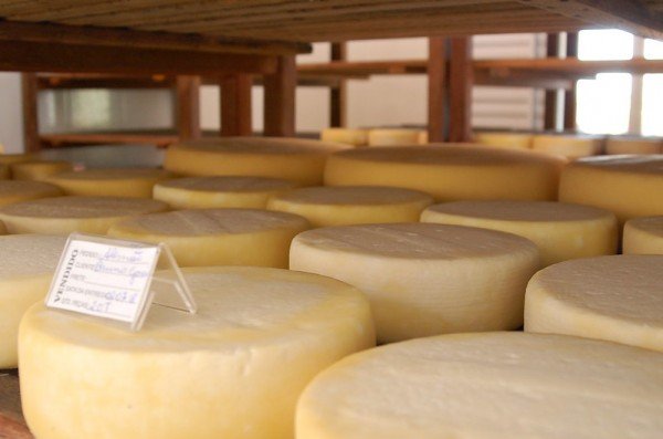 Sistema CNA/Senar debate simplificação do registro para produtos de origem animal