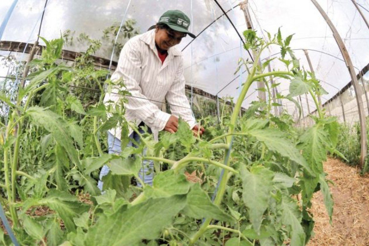 Cursos do SENAR-PR transformam a vida de pessoas e promovem desenvolvimento