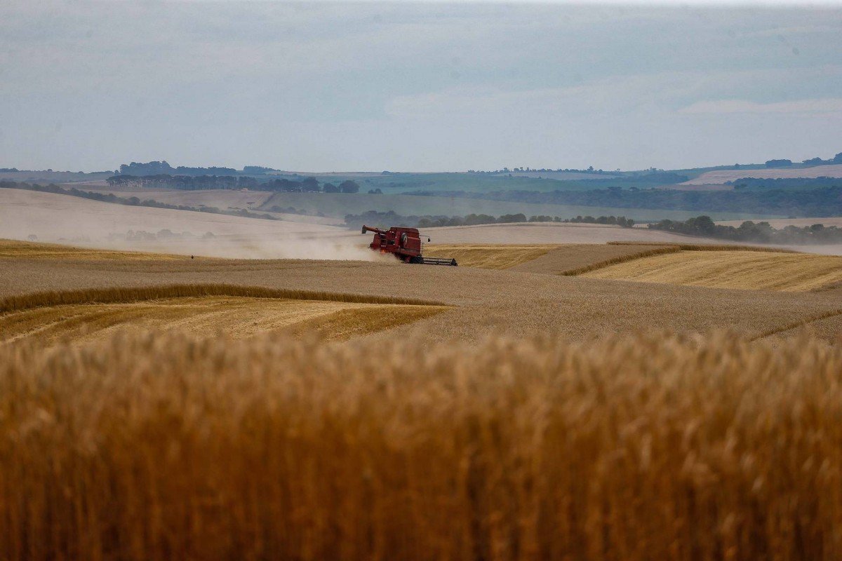 Safra de grãos de verão no Paraná pode chegar a 25,61 milhões de toneladas