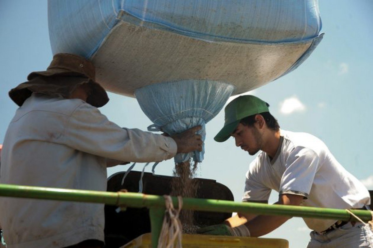 Agricultores estão apreensivos com alta dos insumos no Paraná