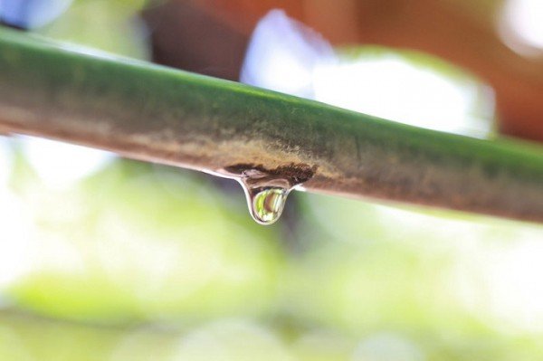 Sistema CNA/Senar participa de seminário de agricultura irrigada em pequenas propriedades