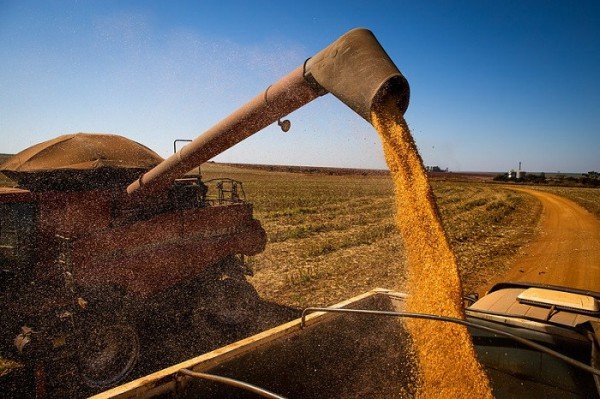 CNA avalia cenário de inflação e alta dos custos de produção no campo
