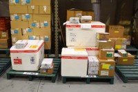 Paraná distribui mais 146,1 mil vacinas contra a Covid-19 nesta terça-feira