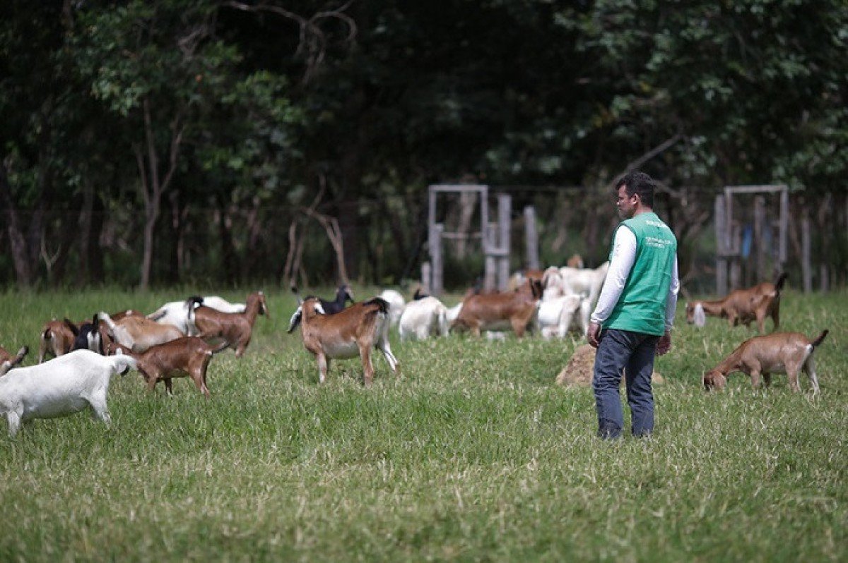Cursos técnicos do Senar com inscrições até janeiro