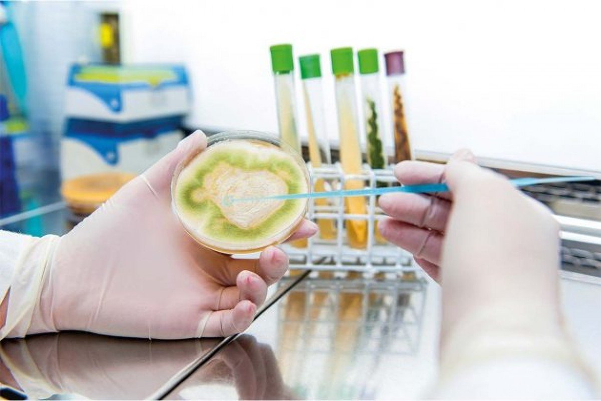 Projeto de Lei busca regulamentar a produção de bioinsumos no Brasil