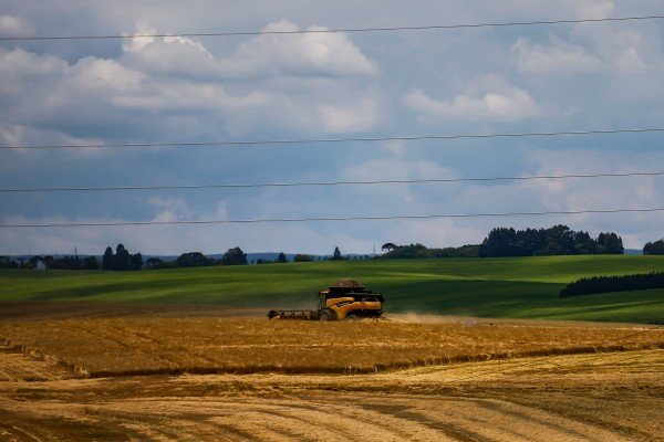 Vencedores do Prêmio Orgulho da Terra serão conhecidos em dezembro