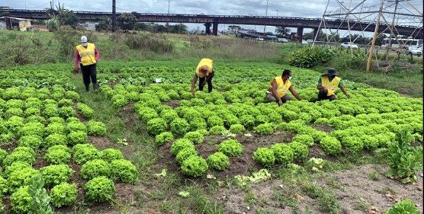 Garantia-Safra autoriza pagamento para mais de 432 mil agricultores familiares
