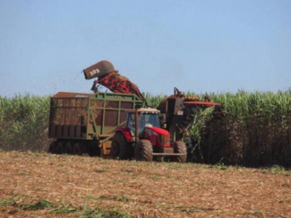 Publicada Portaria com novas condições para implementação do Cadastro Nacional da Agricultura Familiar (CAF)