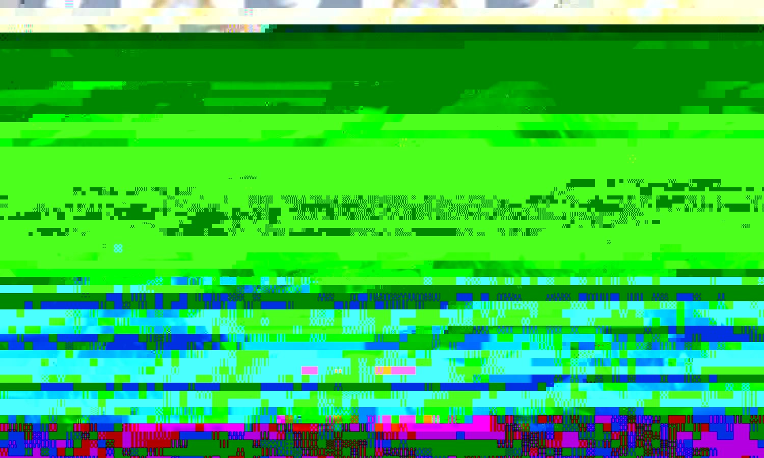 Programa Carne Angus Certificada bate recorde de produção