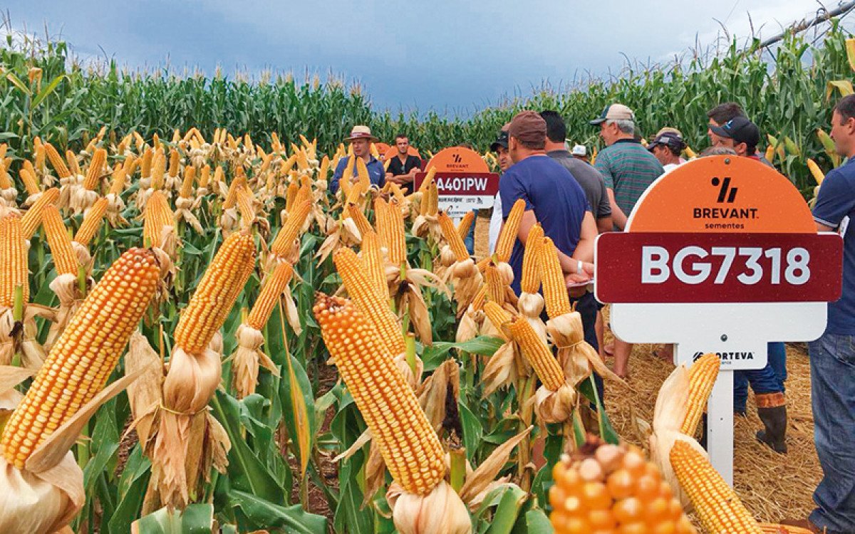 Brevant comemora 5º aniversário durante o Show Rural 2023 e traz novidades no seu portfólio