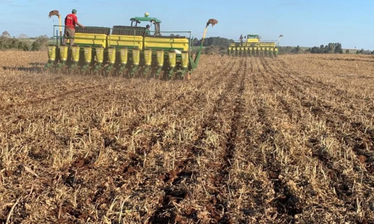 CNA publica documento com orientações sobre mudanças no prazo de semeadura de soja