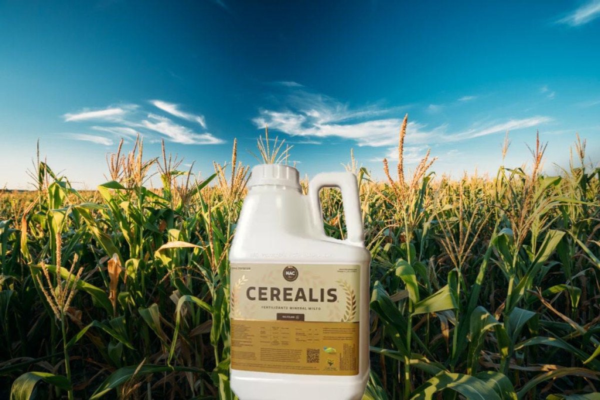 Produto minimiza danos do enfezamento no milho e potencializa a soja