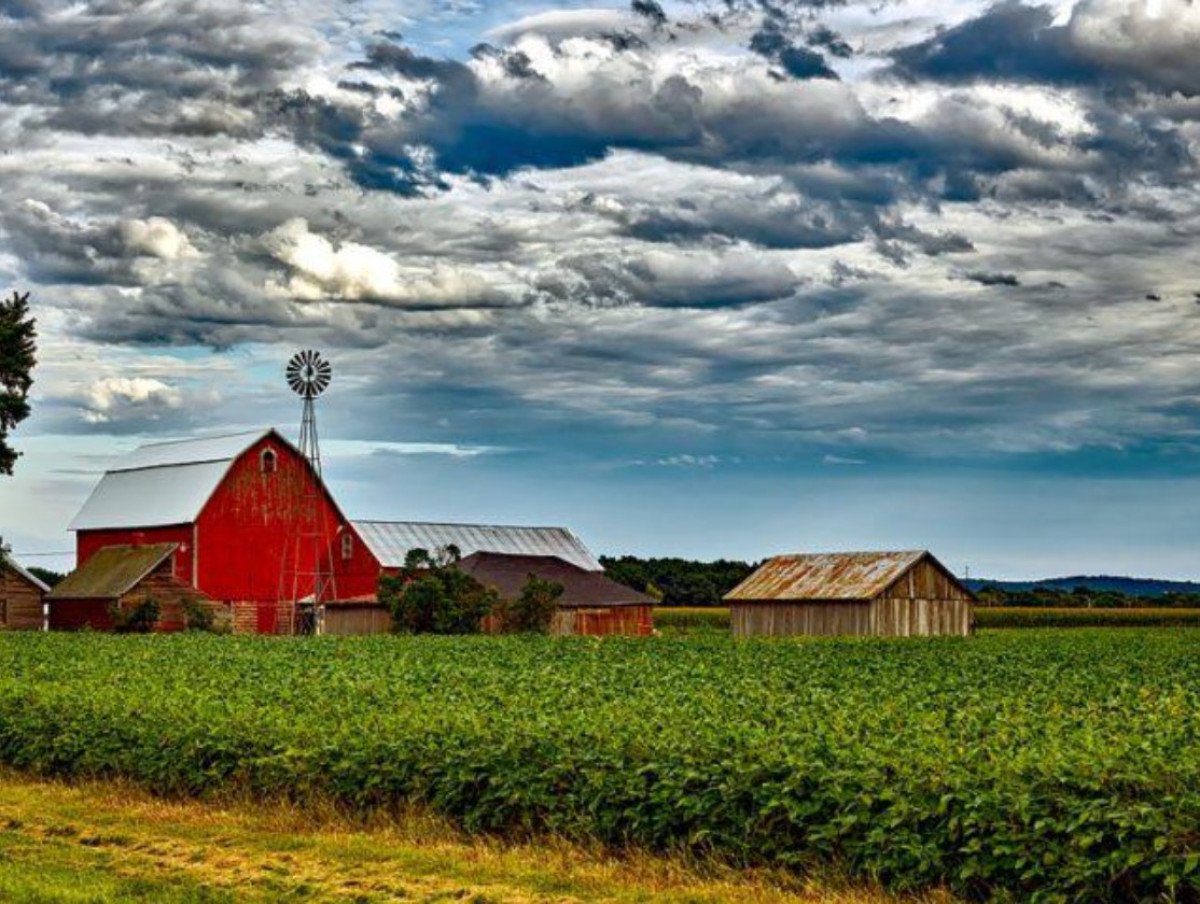 59% das lavouras americanas estão boas/excelentes, segundo relatório USDA