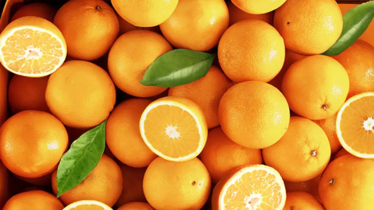 Média mensal da laranja na indústria renova recorde nominal