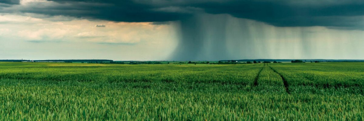 El Niño deve trazer bons ventos para a safra 2023/24 no Paraná