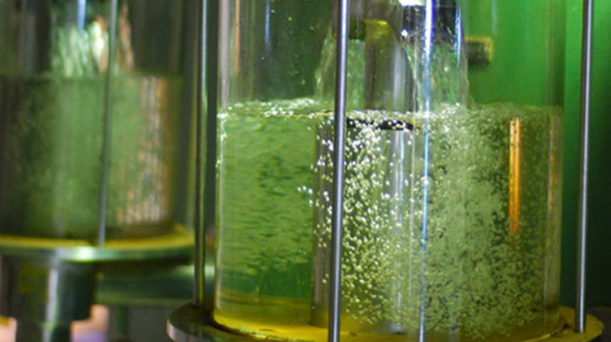 Indicador do etanol hidratado volta a avançar em SP