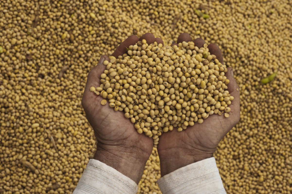 MT apresenta potencialidades da soja não transgênica em evento no Rio de Janeiro