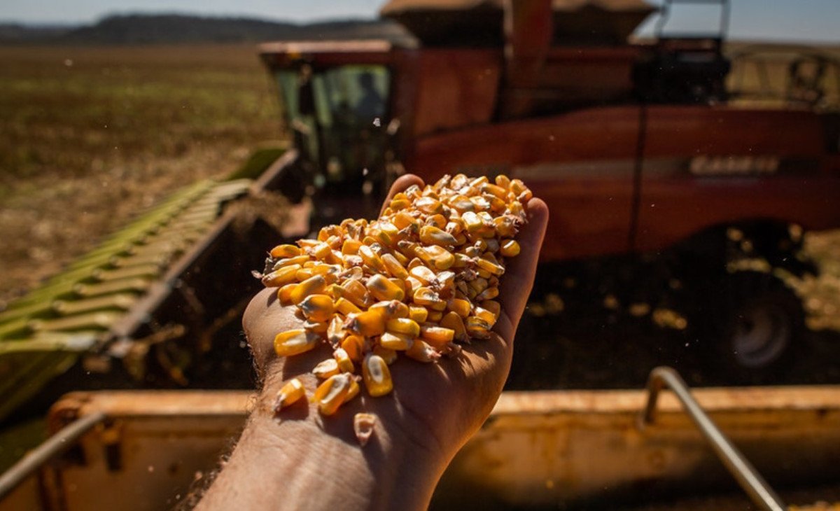 Campo Futuro levanta custos de produção em MG e SE